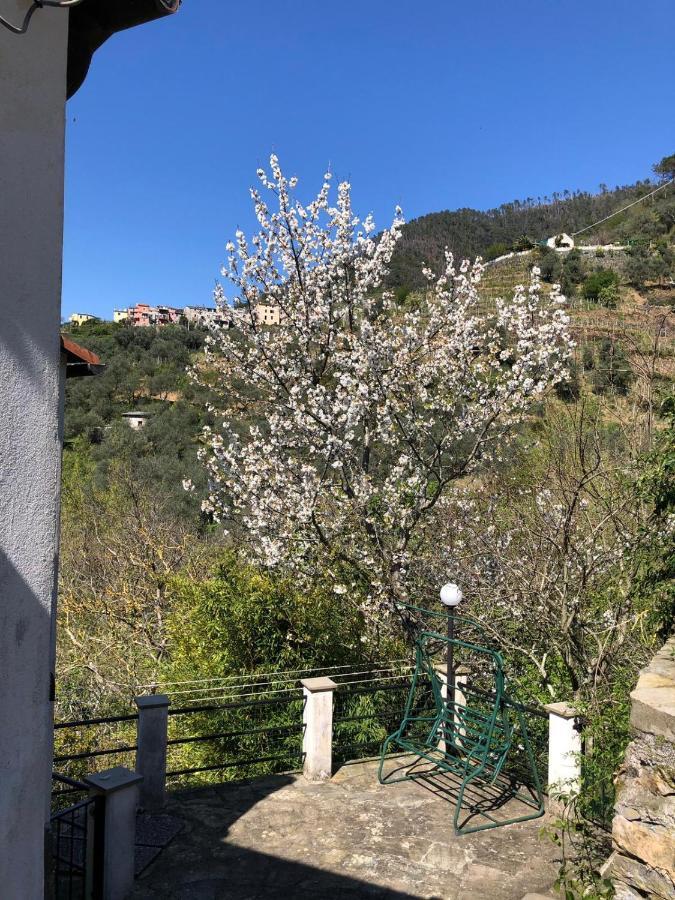 Dolcevia Lejlighed Levanto Eksteriør billede
